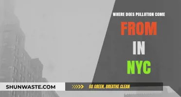 The Sources of Pollution in NYC's Environment