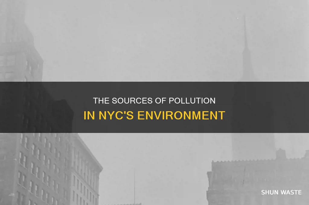 where does pollution come from in nyc