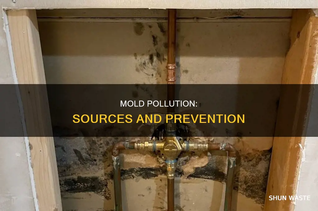where does pollution come from mold