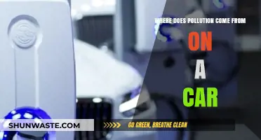 Car Pollution: What's the Source?
