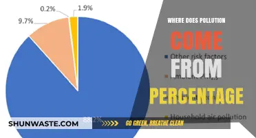 Sources of Pollution: Understanding the Breakdown