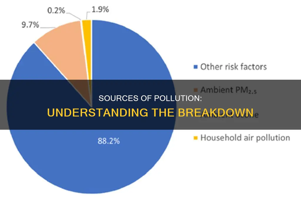 where does pollution come from percentage