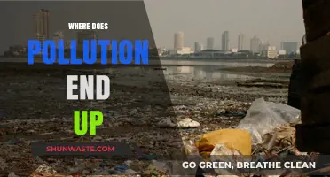 The Journey of Pollution: Where Does It End Up?