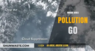 The Mystery of Pollution: Where Does It Disappear?