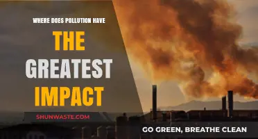 Pollution's Impact: Where Does it Hurt the Most?