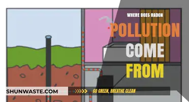 Radon Pollution: What's the Source?