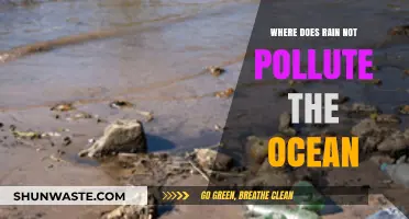 How Rainwater Avoids Polluting the Ocean