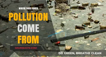 The Silent Killer: River Pollution's Many Sources