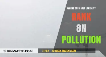 Salt Lake City's Pollution Problem