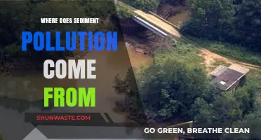 Sediment Pollution: Sources and Origins
