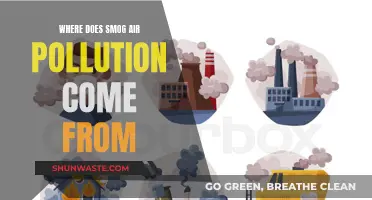 Smog Sources: Air Pollution's Troubling Origins