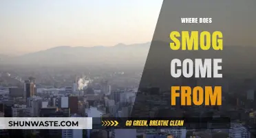 The Mystery of Smog: Unveiling Its Sources