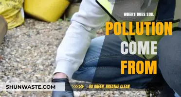 Soil Pollution: The Unseen Threat Beneath Our Feet