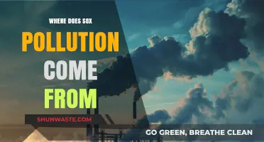 Sources of SOx Pollution and Their Impact