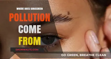 Sunscreen Pollution: What's the Source?