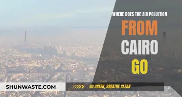 Cairo's Air Pollution: Where Does It Go?