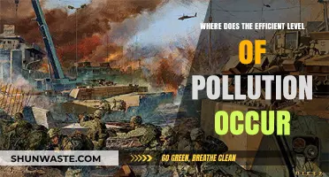 Pollution's Tipping Point: Where Efficiency Turns Toxic