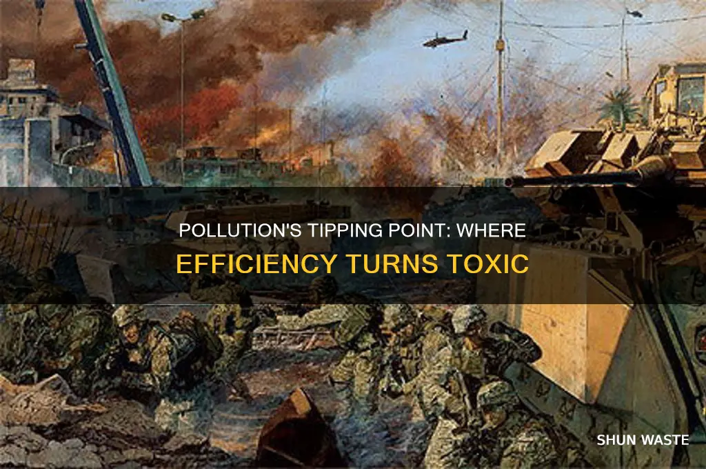where does the efficient level of pollution occur