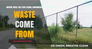 Origins of Love Canal's Toxic Legacy: Tracing the Hazardous Waste Sources