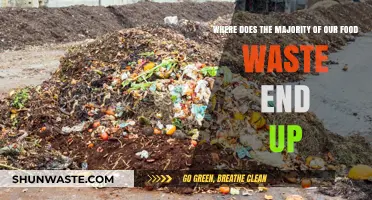 The Surprising Journey of Our Food Waste: From Kitchen to Landfill