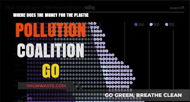 Funds for Action: Plastic Pollution Coalition's Allocation