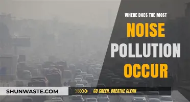 Urban Areas: The Epicenter of Noise Pollution