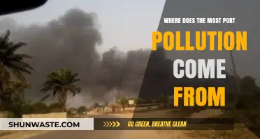 The Port Pollution Mystery: Where Does It Come From?