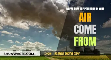 Air Pollution: What's the Source?