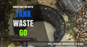Septic Tank Waste Disposal: Understanding the Journey After Flushing