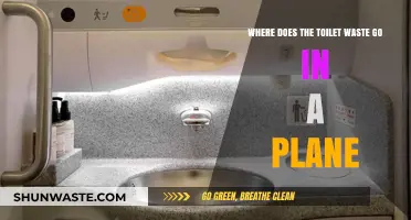 What Happens to Plane Toilet Waste? A Journey Beyond the Flush
