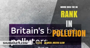 UK Pollution: How Does It Rank Globally?