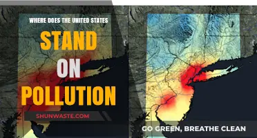 US Pollution: Progress, Problems, and the Path Forward