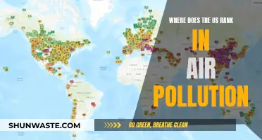 Air Pollution: Where Does the US Stand Globally?