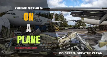 Where Does Plane Waste Go? Uncovering In-Flight Disposal Secrets