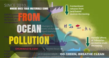 Toxic Ocean: Sources of Marine Pollution