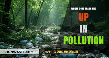 The Trash Journey: From Bin to Environmental Hazard