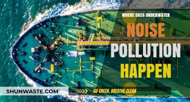 Underwater Noise Pollution: A Global Problem