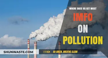 US Pollution: Sources and Information
