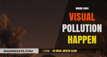 Visual Pollution: Where Does It Lurk?