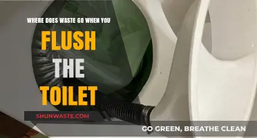 Flushed Away: The Surprising Journey of Waste After You Flush