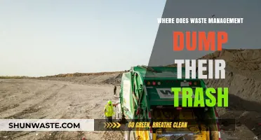 Unveiling the Journey: Where Waste Management Trash Ends Up