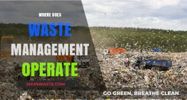 Exploring the Global Reach of Waste Management Services