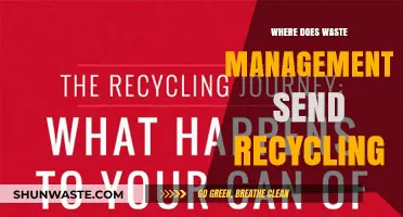 Decoding the Journey: Where Does Waste Management Send Recycling?