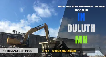 Duluth's Recycling Journey: Where Do Our Recyclables Go?