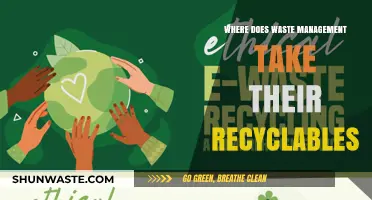 Unveiling the Journey: Where Waste Management Takes Your Recyclables