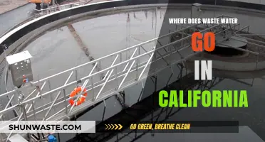 California's Wastewater Journey: From Homes to Treatment and Beyond