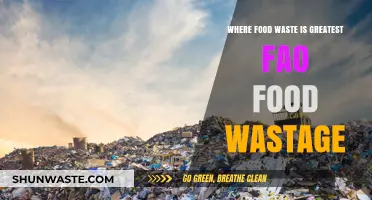 Global Food Waste Crisis: Where Excess Meets Scarcity