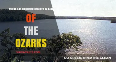 Lake of the Ozarks Pollution: Where is it Happening?