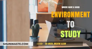 Discover the Best Study Environments for Focus and Productivity