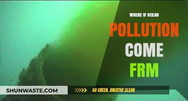 The Ocean's Polluters: Sources of Marine Contamination